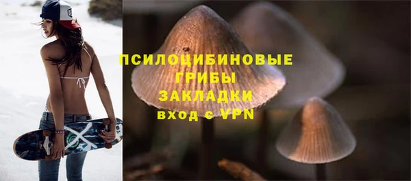 ECSTASY Белокуриха