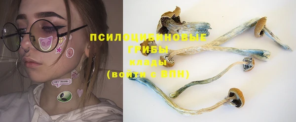 сатива Белоозёрский